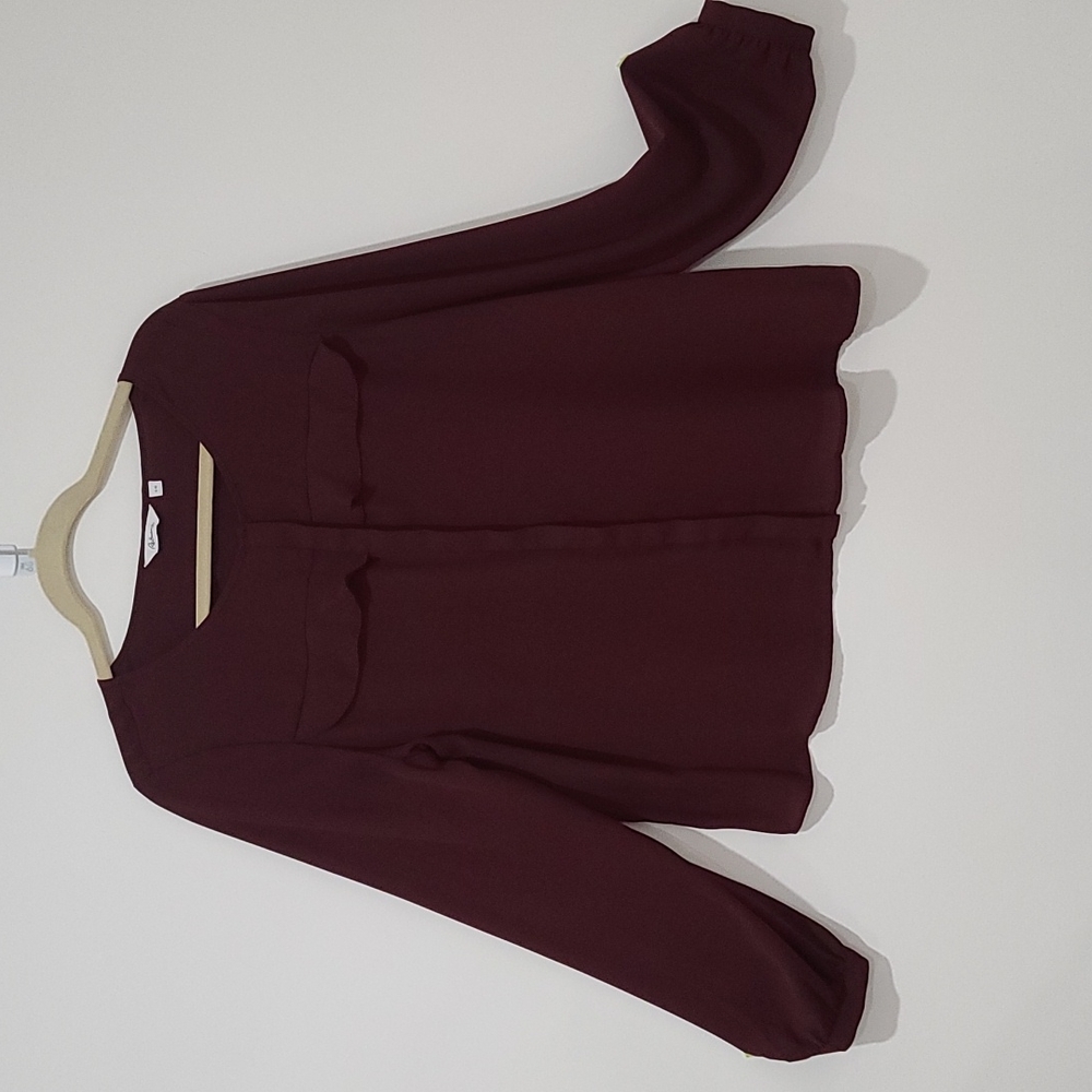 Sheer burgundy blouse